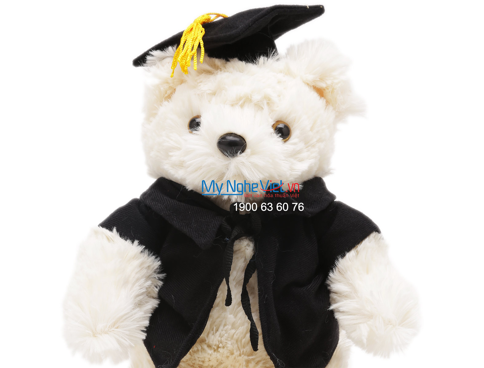 Gấu tốt nghiệp QTN10/4 Vest đen