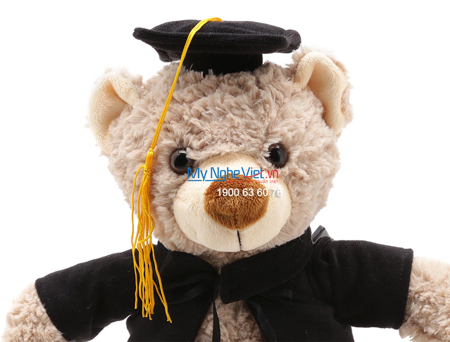 Gấu tốt nghiệp xám QTN-GBN01