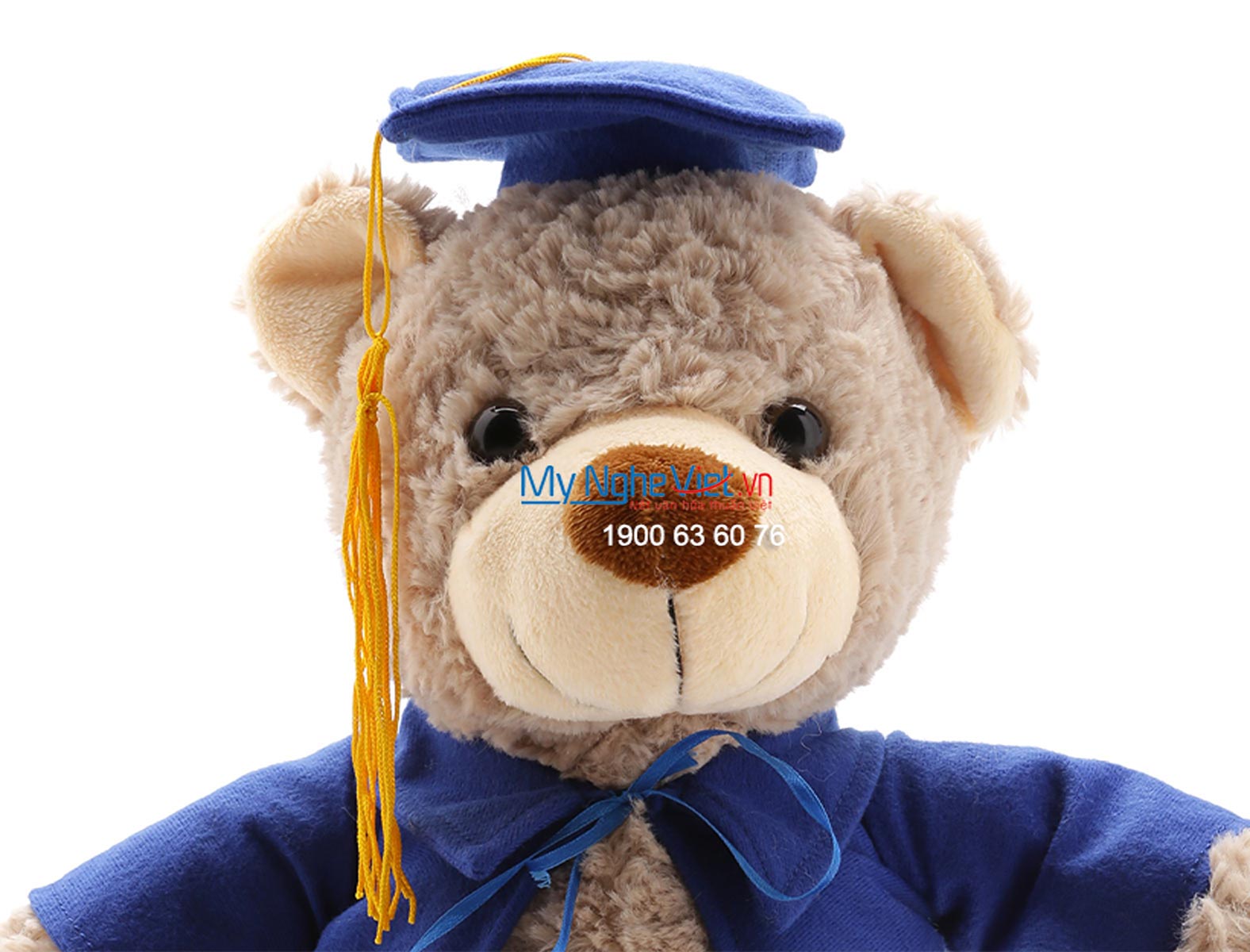Gấu tốt nghiệp xám QTN-GBN02